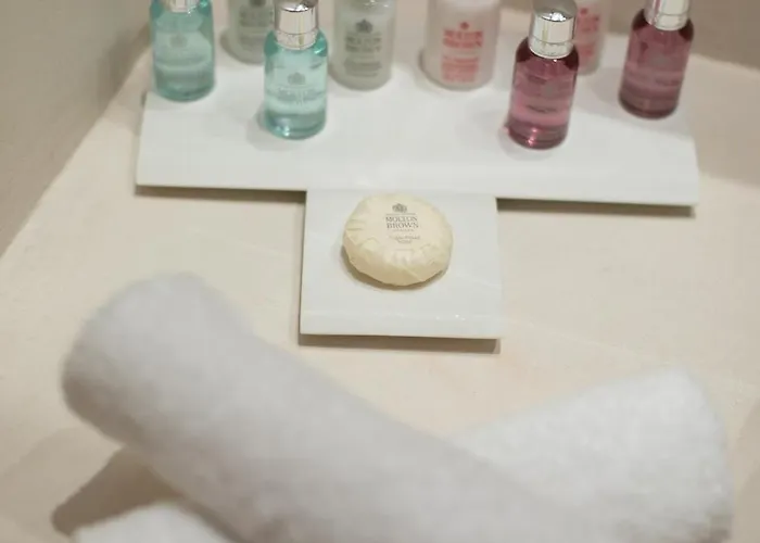 The Ammonite فندق