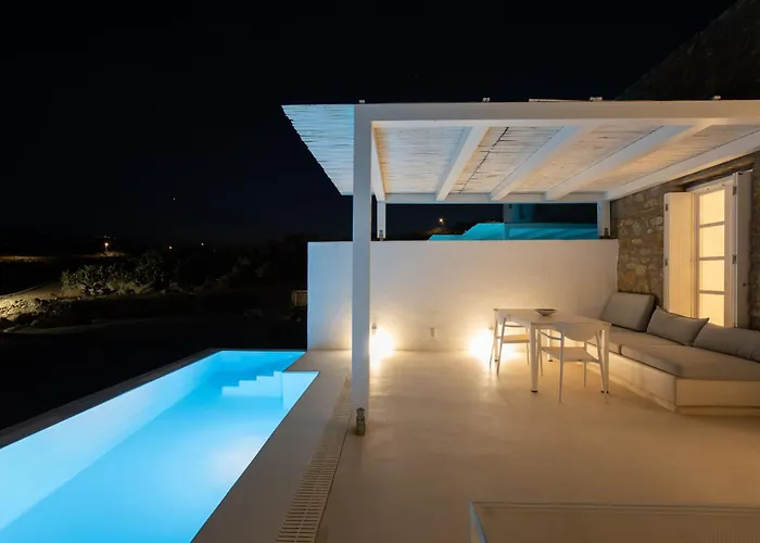 The Ammonite Plintri