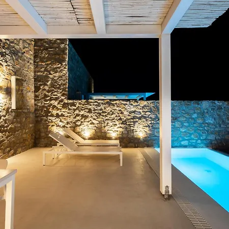 The Ammonite Plintri