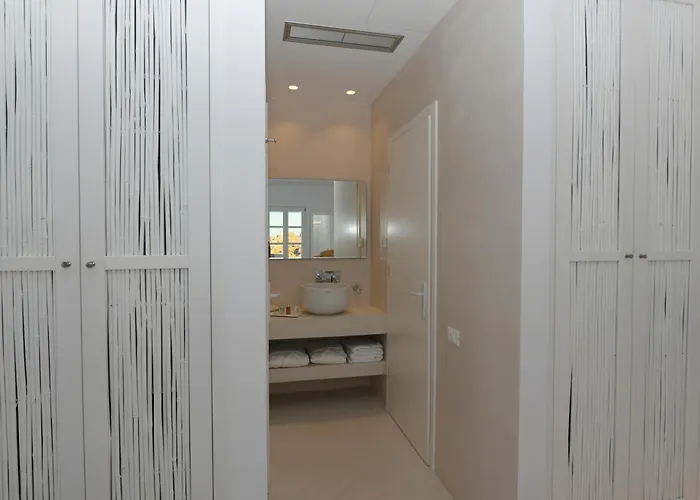 The Ammonite Plintri