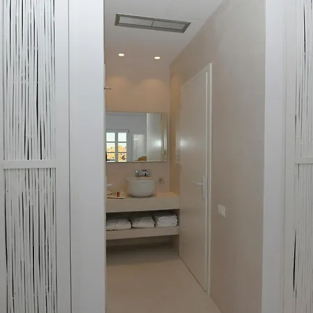 The Ammonite Plintri