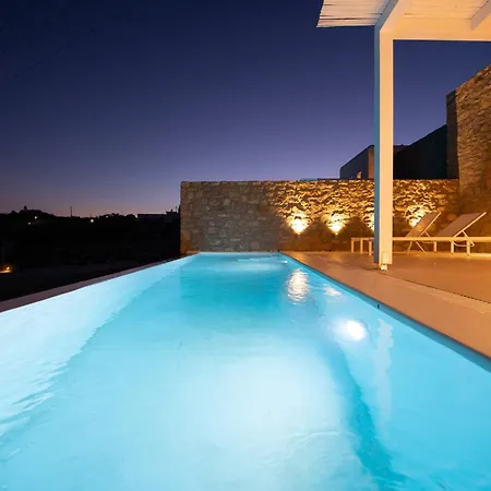 The Ammonite 4* Plintri