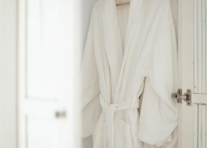 Hotell The Ammonite Plintri