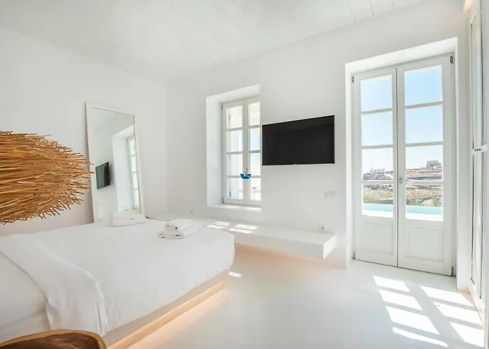 The Ammonite Hotell Plintri