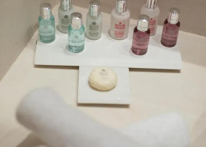 The Ammonite Plintri