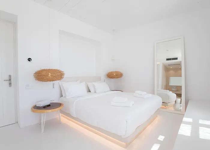 The Ammonite Hotell Plintri