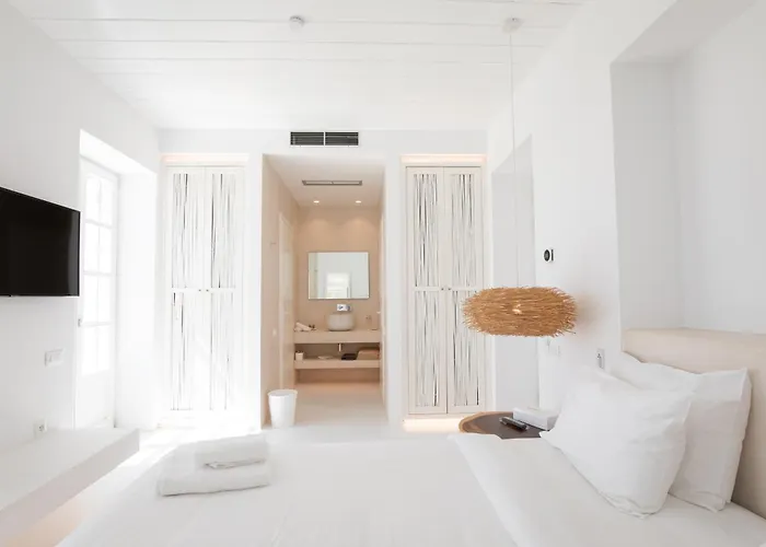 The Ammonite Hotell Plintri