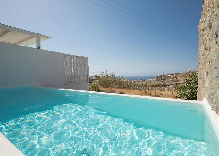 The Ammonite 4* Plintri