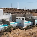 The Ammonite 4*